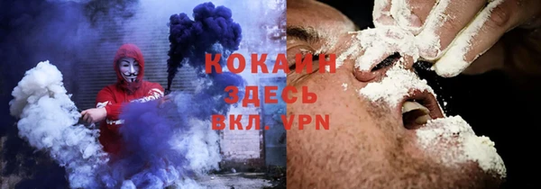 прущие грибы Алексеевка