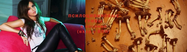 прущие грибы Алексеевка