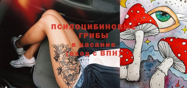 прущие грибы Алексеевка