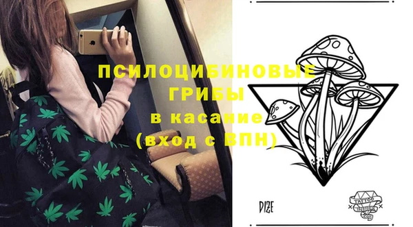 амф Абаза