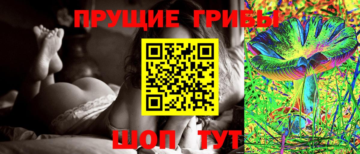 Галлюциногенные грибы Magic Shrooms Вологда