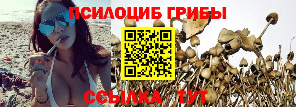 Псилоцибиновые грибы ЛСД  Вход с VPN  Вологда 
